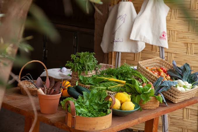 Ingredientes frescos