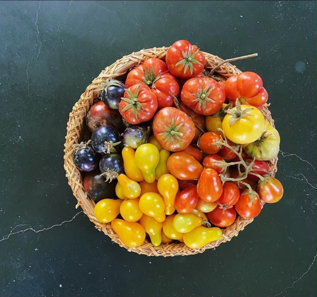 Experiencia gastronómica de la granja a la mesa